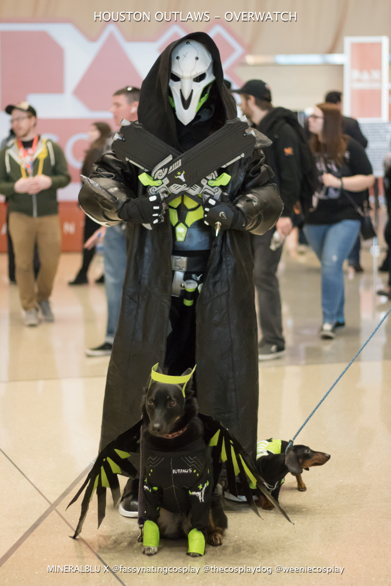 Illustration for article titled Some Of Our Favorite Cosplay From PAX South 2019